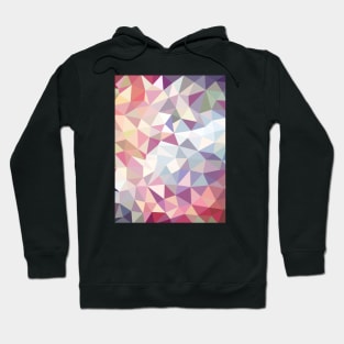 Venice Tris Hoodie